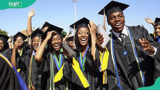 Here are the top NGO scholarships in Nigeria you can apply for this year