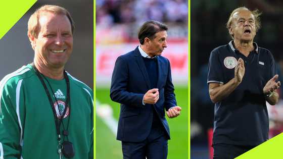 5 Germans who have managed Super Eagles after NFF appoint Bruno Labbadia