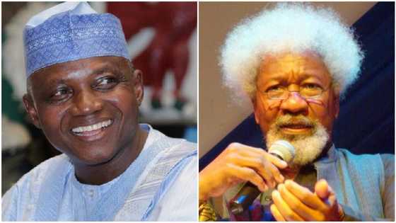 COVID-19 lockdown: Presidency tackles Soyinka, says he is a fiction writer, not medical professor