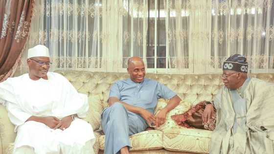 APC primary: Tinubu reveals what he and Amaechi agreed on, visits Bello, others