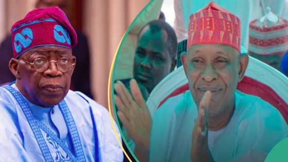 Falgore: Kungiya ta nemi alfarma wajen Abba yayin da Kwankwaso ya samu mukami