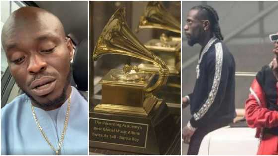 Grammy no be Headies: Mr Jollof says public holiday should be declared to celebrate Burna Boy, Wizkid