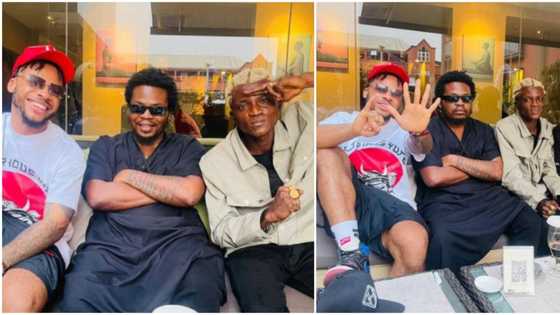 Na promo we do o: Portable says as he finally reunites with Poco Lee after their fallout, Nigerians react