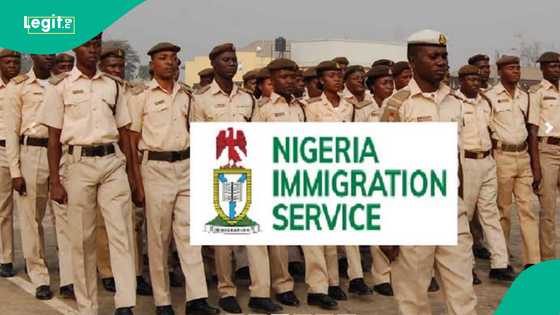 Panic as gunmen attack checkpoint, kill three immigration officers in Kebbi state