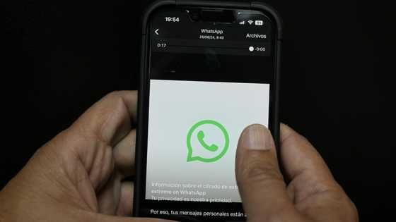 Italy opens probe into Meta over AI tool in WhatsApp