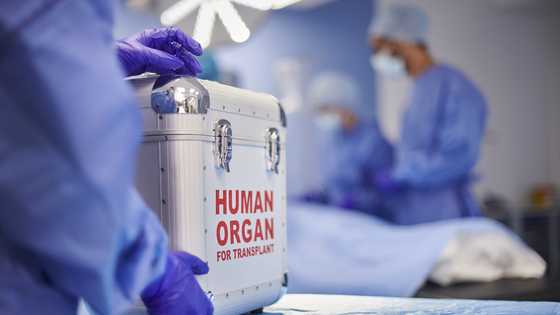 I donated my kidney to my husband — Three weeks later, a stranger exposed him