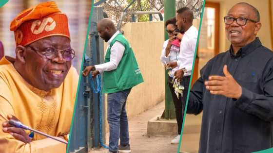 “Avoid further show of rascality”: Peter Obi reacts as Tinubu’s FG reopens popular Abuja store