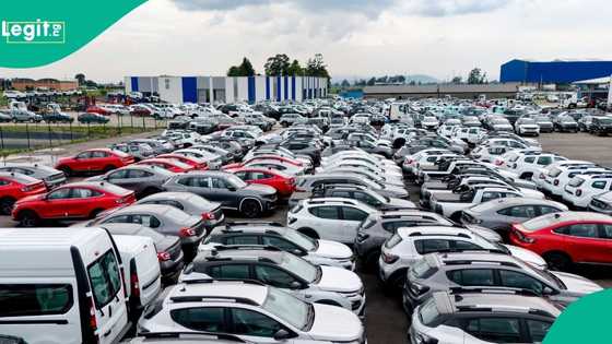 Nigeria’s new Green Tax: How lower import duties will affect car prices, buyers and dealers