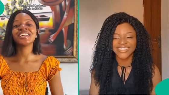 Lady travels from Lagos to Abuja to interpret Korean for customs officers, shares experience