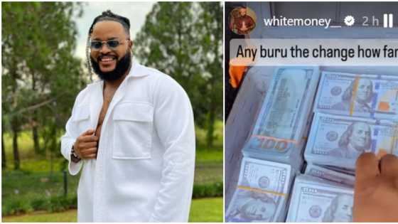 "Be like election money reach you": Fans react as White Money shows off stacks of dollar notes, video trends