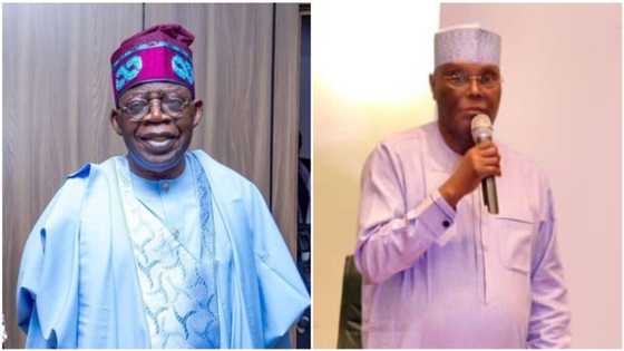 2023: Atiku suffers big loss as his political machinery collapses structure for Tinubu, gives reason