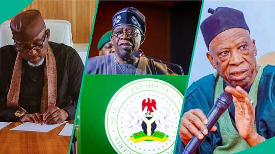 Tinubu gives appointments to ex-Gov Okorocha, ex-APC national chair, 3 others