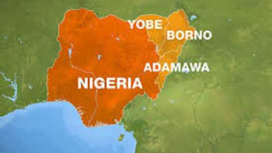 Boko Haram Sun Saka Karfin Tattalin Arzikin Arewa Maso Gabas Ya Ragu Da Kashi 50, Bankin Duniya