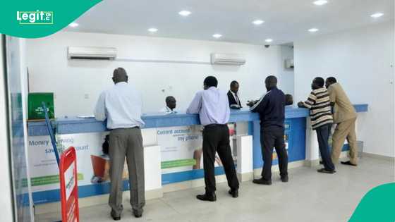 Backlash as Gambia plans to replace Nigerians, foreigners working in Access, Zenith, other banks