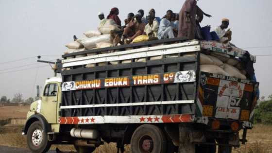 Onion producers cut supply to north-central, Abuja as prices soar