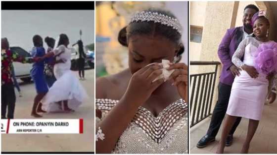 Nigerian couple who met on Whatsapp: 3 wedding stories that rocked the internet this week