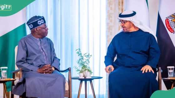 BREAKING: “Face-off settled,” UAE lifts visa ban on Nigeria with immediate effect