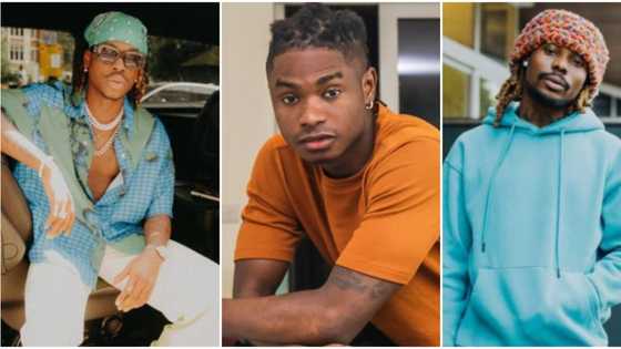 "YBNL soldiers": Nigerians choose Fireboy as all-time favourite, Asake comes 2nd