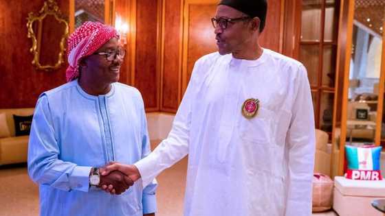 Shugaba Buhari ya gana da shugaban kasar Guinea, sun magantu kan batun juyin mulki a kasar