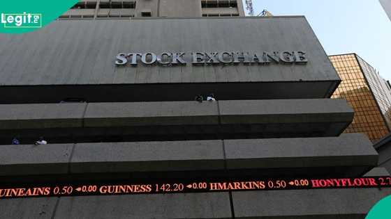 5 companies' stocks performance cause market new dip on Wednesday