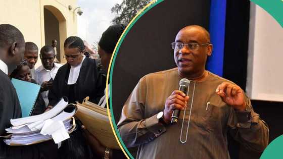 “We have rights”: Group drags acting CBN governor Shonubi to court, makes demands