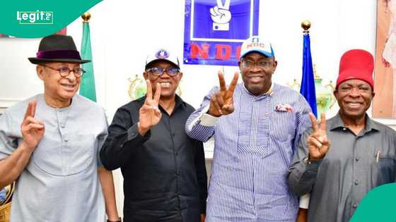 2027 election: INEC, NDC dragged to court, reason, details emerge