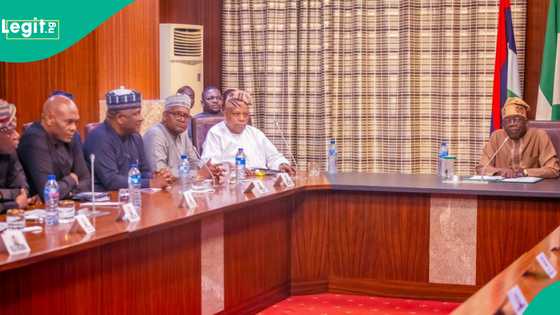 Nigerian billionaire’s company announces job vacancies in 5 roles, 2 departments
