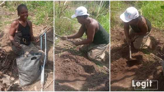 "She needs help": Physically challenged woman seen working inside farm with crutches, video emerges online