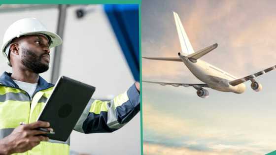 "Skills that make you rich abroad": Expert lists handwork to learn before moving to Canada, UK, USA