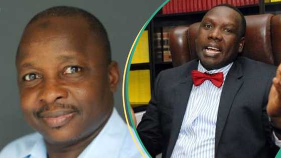 Where is Daniel Bwala? Ex-president Buhari's aide questions the whereabouts of Atiku's former aide