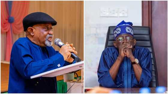 Buhari's minister under fire for not declaring support for Tinubu