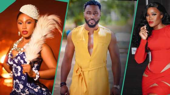 BBNaija All Stars Pere sheds hot tears after parrot discloses what Mercy, Doyin, and CeeC said about him