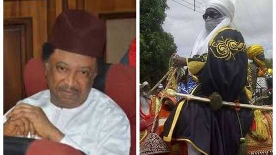 Sarautar Zazzau: Sanata ya karfafa jita-jitar wanda zai zama Sarki