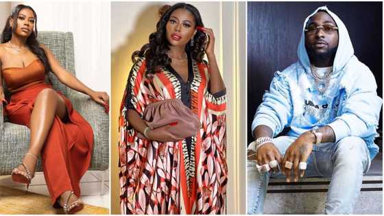 Davido's 1st baby mama Sophia Momodu makes grand return to IG, shares cryptic post about life, netizens react