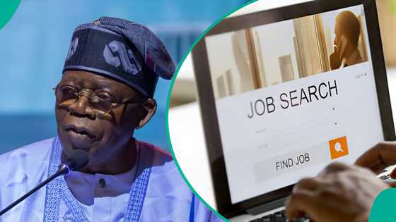 FG announces job vacancy for accountant general, lists requirements, interview dates