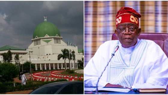 Anxiety as National Assembly awaits President Tinubu’s ministerial list 18 days to deadline