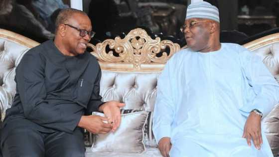 Siyasa Ba Hauka ba ce, Peter Obi ya Fadi Dalilinsa na Mutunta ‘Dan takaran PDP, Atiku