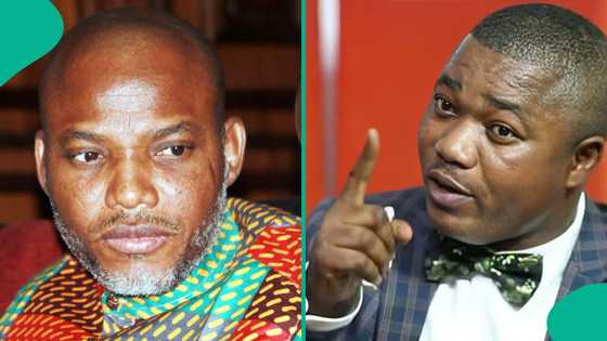 Breaking: Kanu ex-lawyer breaks silence, mentions what should be done to IPOB leader in prison, "Note this"