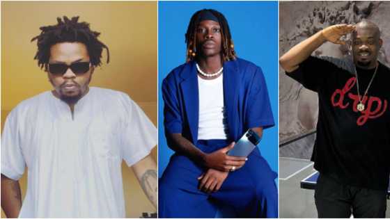 "Come on, that is my CEO": Singer Fireboy picks Olamide ahead of Don Jazzy, Nigerians share mixed reactions