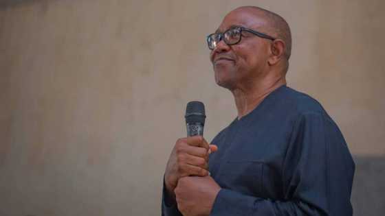 Peter Obi leads Atiku, Tinubu in latest online poll ahead of 2023 elections