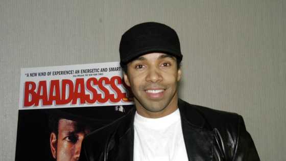 Allen Payne’s bio: age, height, family, net worth, movies and TV shows