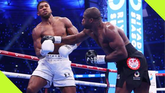 5 brutal boxing KOs after Daniel Dubois knocked out Anthony Joshua