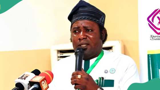 Security expert speaks on how much Nigeria has spent to tackle insurgency since 1999