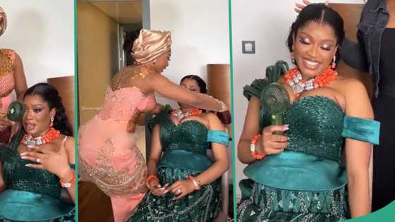 "All the way from France": Lady flies to Nigeria from abroad to surprise sister on her wedding day