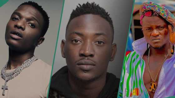 "I would have locked up Wizkid": Dammy Krane claims Portable is more relevant than Star Boy