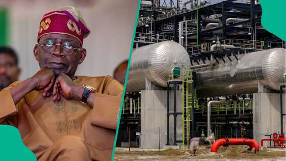 FG to address pressing issue in ‘oil and gas’ industry, sends warning to Dangote, others