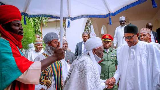 Abinda hakiman yankin Daura suka fadawa Shugaba Buhari