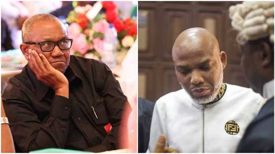 2023 election, Peter Obi of Nigeria and Nnamdi Kanu of Biafra by Yushau Shuaib