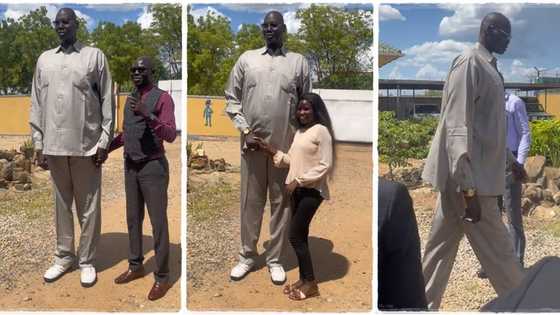 "7 feet 9 inches": Tall man appears in public, people surround him like celebrity in viral video