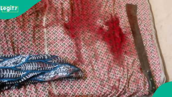 Matashi ya kashe mahaifinsa bayan sassara wuyansa da adda a Jigawa